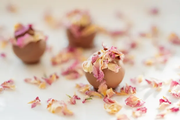 Pedalada10 Casino Aip Android/iOS